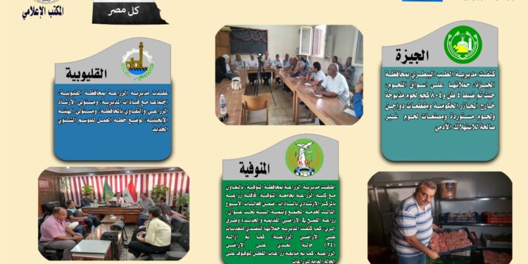 انفوجراف وفيديو | تعرف على أنشطة مديريات الزراعة والطب البيطري خلال أسبوع 1 انفوجراف وفيديو | تعرف على أنشطة مديريات الزراعة والطب البيطري خلال أسبوع