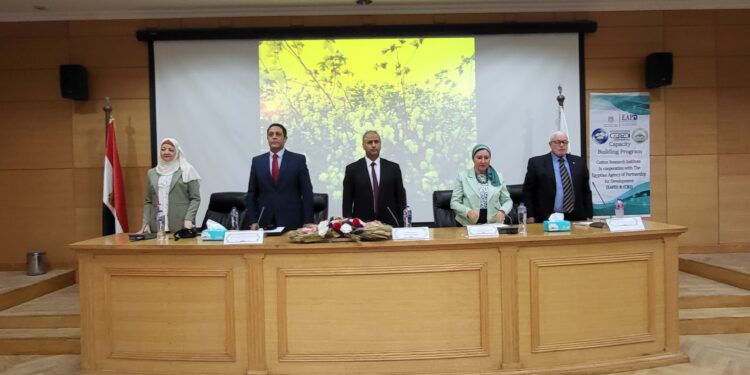 "بحوث القطن" يبدأ برنامجه التدريبي لـ20 مبعوثًا من 12 دولة إفريقية 1 بحوث القطن
