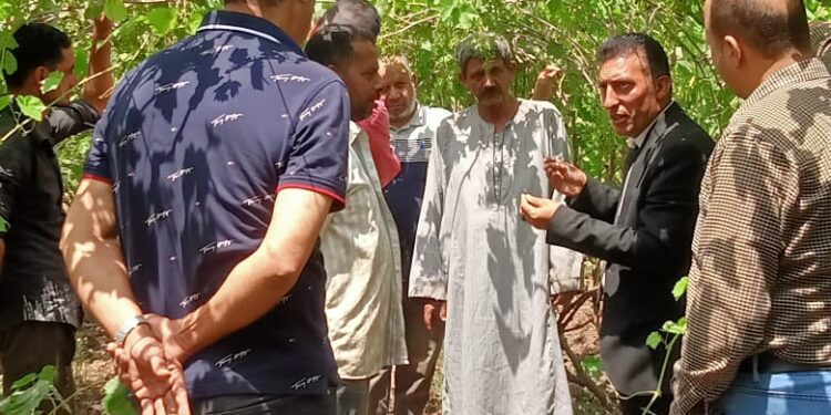 حصاد الأنشطة البحثية والخدمية والإرشادية لمعهد أمراض النباتات عن شهر سبتمبر 2023 1 أمراض النباتات