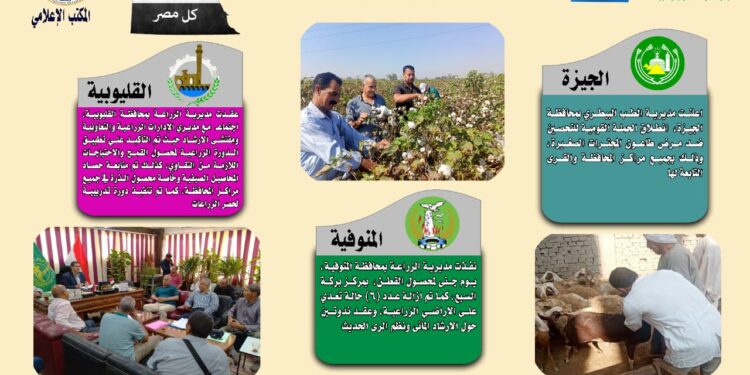 مركز المعلومات الصوتية يصدر نشرته الـ 113 عن أنشطة المديريات 1 مركز المعلومات الصوتية