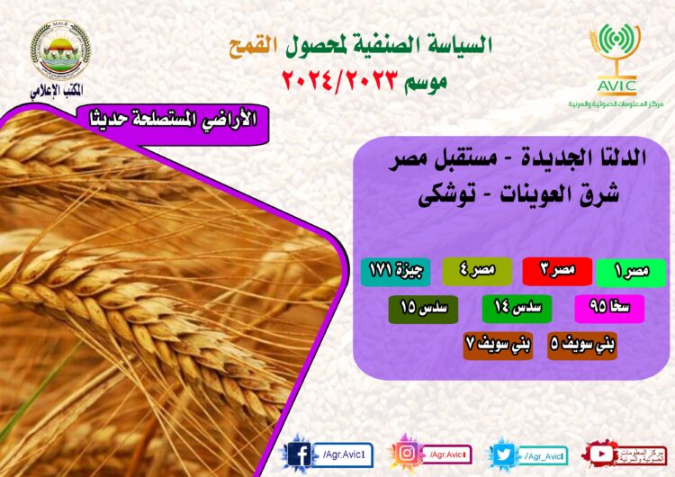 “الزراعة” تنشر إنفوجراف الخريطة الصنفية لمحصول القمح بالمحافظات: أفضل الأصناف لزراعتها في كل محافظة