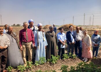 زراعة أسيوط