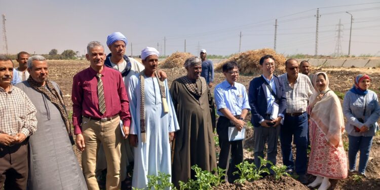 زراعة أسيوط تستقبل وفد خبراء من الجايكا 1 زراعة أسيوط