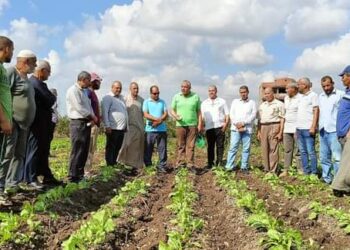 الزراعة الحديثة