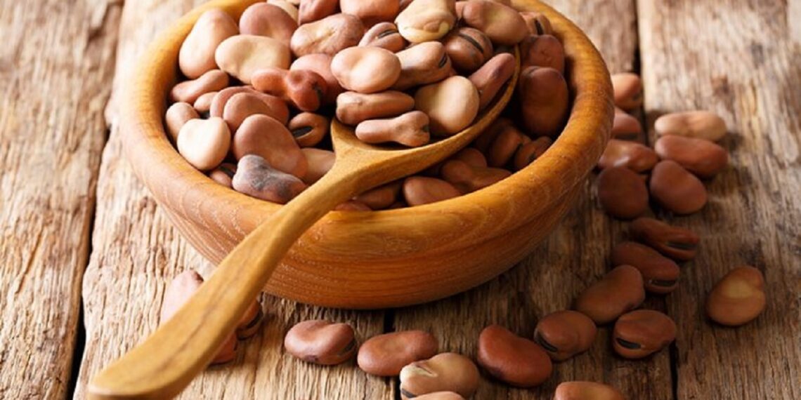 الفول البلدي