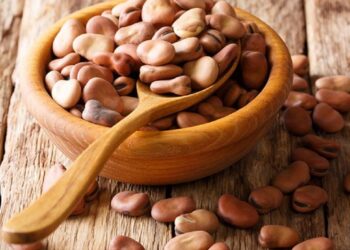 الفول البلدي