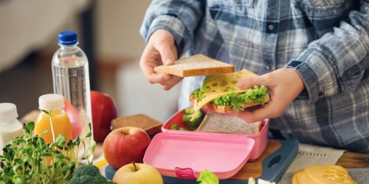 اللانش بوكس.. "القواعد الذهبية" لإعداد وجبة مدرسية صحية لابنك 1 اللانش بوكس