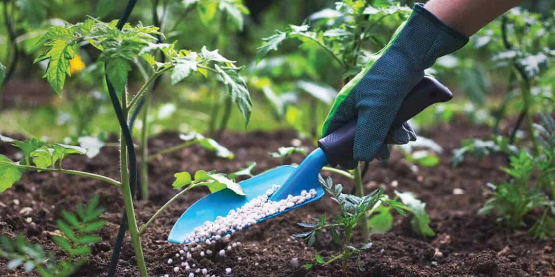 المقننات السمادية