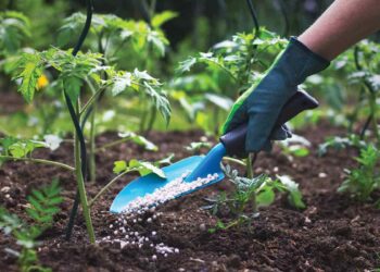 المقننات السمادية