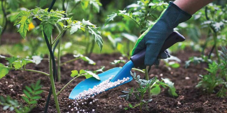 المقننات السمادية