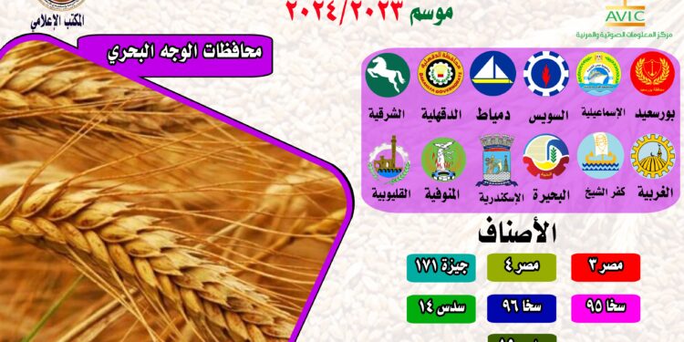 "الزراعة" تنشر إنفوجراف الخريطة الصنفية لمحصول القمح بالمحافظات: أفضل الأصناف لزراعتها في كل محافظة 1 القمح