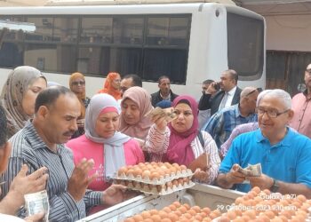 بيض المائدة