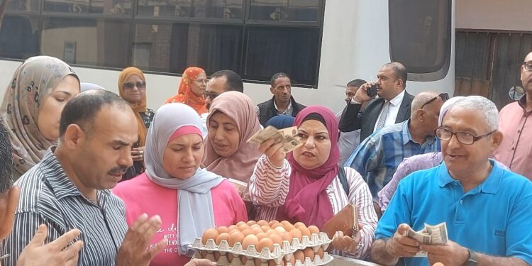 إطلاق ١٠ منافذ متحركة في ٨ محافظات لبيع بيض المائدة بأسعار مخفضة 1 بيض المائدة