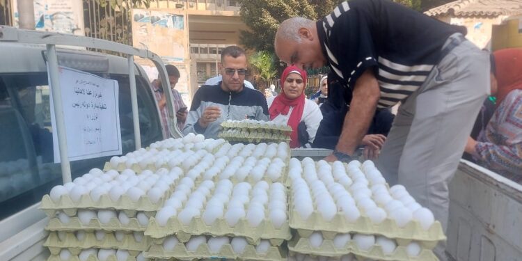 بيض المائدة