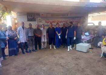 معهد التناسليات الحيوانية