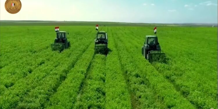 مشروع مستقبل مصر: رؤية طموحة لتحقيق التنمية والتقدم الشامل 1 مشروع مستقبل مصر