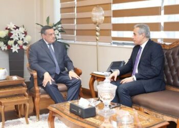 التنمية المحلية