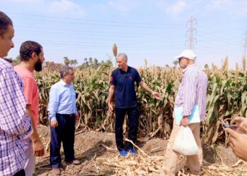 زراعة أسيوط