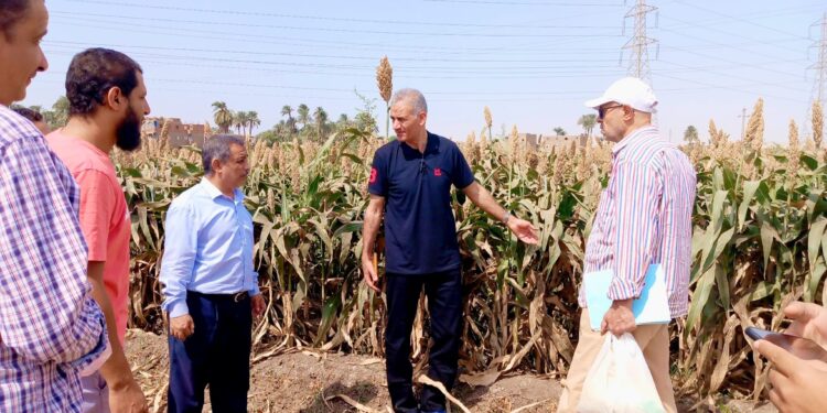 زراعة أسيوط