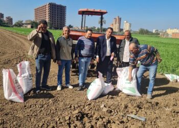 الزراعة تنشر في المحافظات لمتابعة زراعة القمح وتوعية المزراعين باساليب الزراعة الحديثة