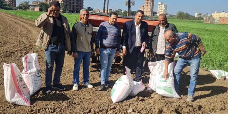 الزراعة تنشر في المحافظات لمتابعة زراعة القمح وتوعية المزراعين باساليب الزراعة الحديثة 1 الزراعة تنشر في المحافظات لمتابعة زراعة القمح وتوعية المزراعين باساليب الزراعة الحديثة