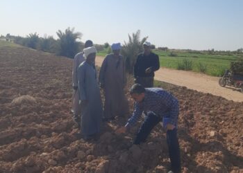 “بحوث الصحراء” ينظم قوافل إرشادية لمزراعي قرى الخريجين في منطقة توشكى لحثهم على زراعة محصول القمح وتطبيق الممارسات الزراعية الصحيحة