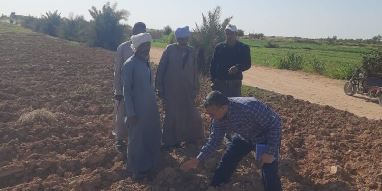 "بحوث الصحراء" ينظم قوافل إرشادية لمزراعي قرى الخريجين في منطقة توشكى لحثهم على زراعة محصول القمح وتطبيق الممارسات الزراعية الصحيحة 1 “بحوث الصحراء” ينظم قوافل إرشادية لمزراعي قرى الخريجين في منطقة توشكى لحثهم على زراعة محصول القمح وتطبيق الممارسات الزراعية الصحيحة