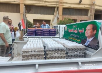 إطلاق ١٢ منفذ متحرك لبيع بيض المائدة للمواطنين