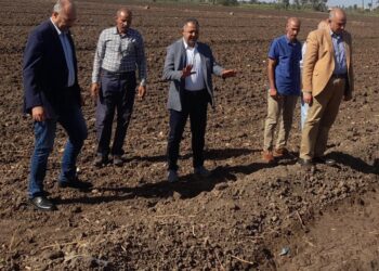 الزراعة تتابع زراعات حقول القمح في محافظات الفيوم وقنا والأقصر