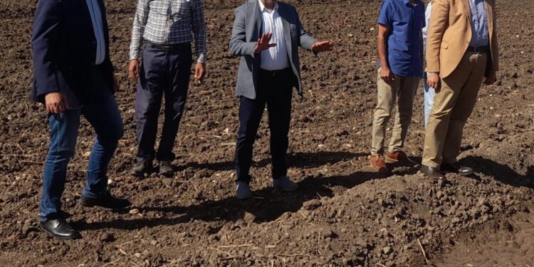 الزراعة تتابع زراعات حقول القمح في محافظات الفيوم وقنا والأقصر 1 الزراعة تتابع زراعات حقول القمح في محافظات الفيوم وقنا والأقصر