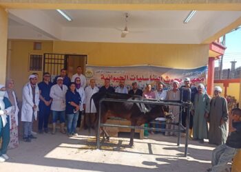 علاج وفحص اكثر من ٣٢٠٠ رأس ماشية مجانا لدي ٢٠٠٩ من صغار المربين بمحافظة قنا