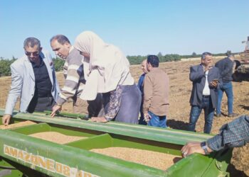 الزراعة تكثف جهودها لمتابعة موسم زراعة القمح والاطمئنان على توفير التقاوى الجيدة المعتمدة