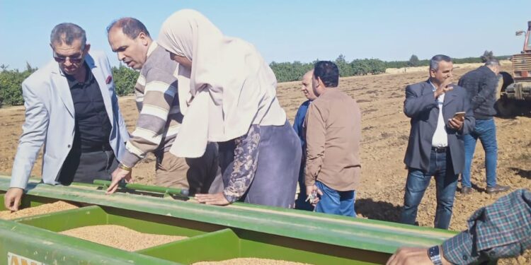 الزراعة تكثف جهودها لمتابعة موسم زراعة القمح والاطمئنان على توفير التقاوى الجيدة المعتمدة 1 الزراعة تكثف جهودها لمتابعة موسم زراعة القمح والاطمئنان على توفير التقاوى الجيدة المعتمدة