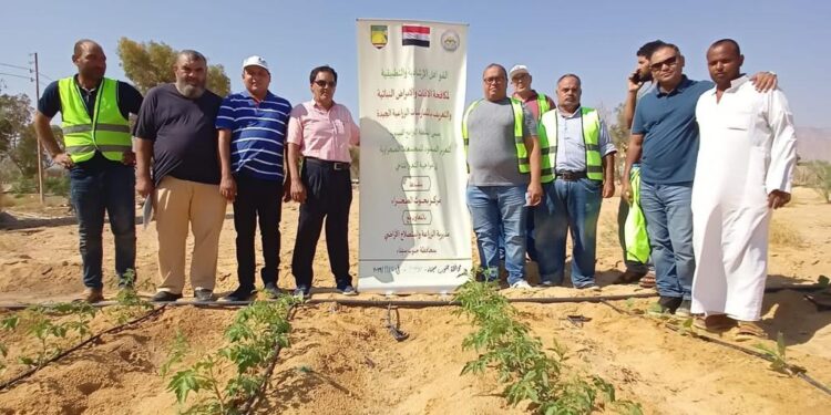 بحوث الصحراء ينظم قافلة تنموية لدعم مزارعي نويبع بجنوب سيناء 1 بحوث الصحراء ينظم قافلة تنموية لدعم مزارعي نويبع بجنوب سيناء