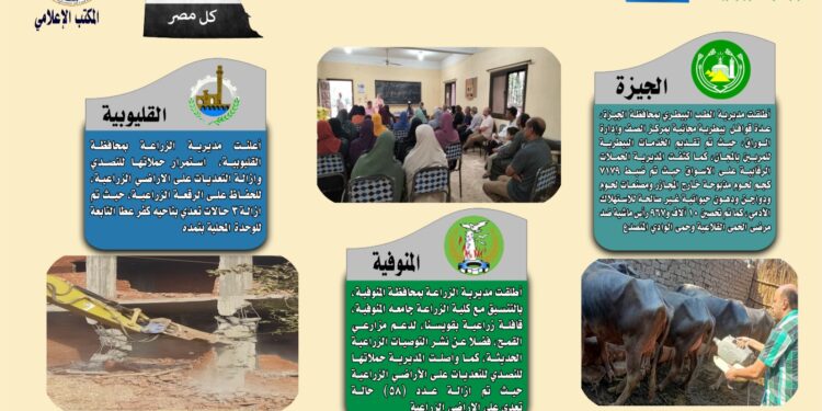 انفوجراف وفيديو|  تعرف على أنشطة وجهود مديريات الزراعة والطب البيطري خلال أسبوع 1 انفوجراف وفيديو|  تعرف على أنشطة وجهود مديريات الزراعة والطب البيطري خلال أسبوع