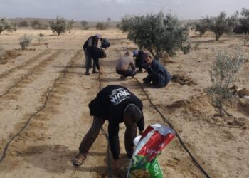 بحوث الصحراء