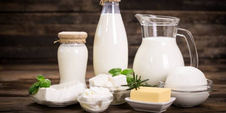 منتجات الألبان.. أنواع الزبادي وطرق إعداده منزليًا 1 الألبان
