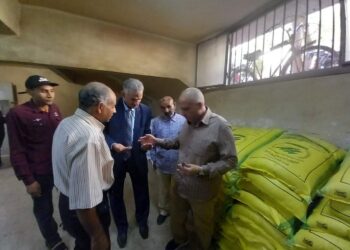 محصول القمح