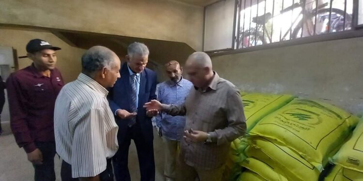 محصول القمح