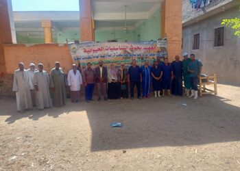 التناسليات الحيوانية