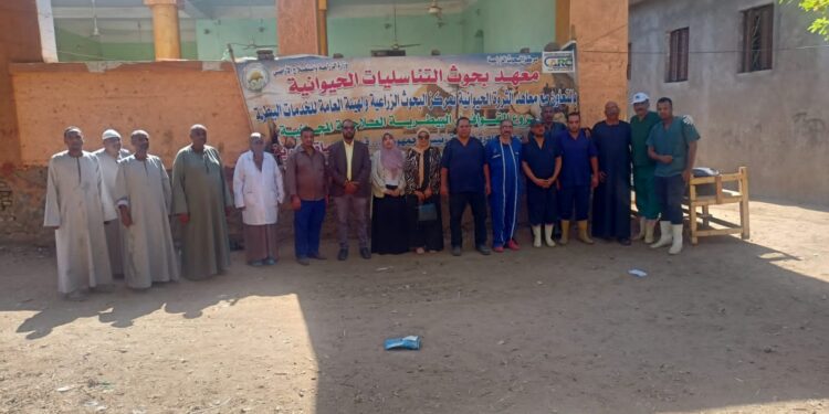 التناسليات الحيوانية تطلق قافلة بيطرية للقرى الأكثر احتياجا بمحافظة أسوان 1 التناسليات الحيوانية