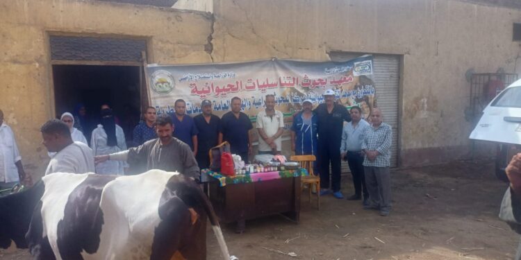 القافلة البيطرية