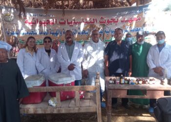 القافلة البيطرية