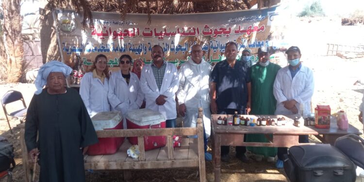 انطلاق فعاليات القافلة البيطرية المجانية لقرى حياة كريمة بمحافظة الأقصر 1 القافلة البيطرية