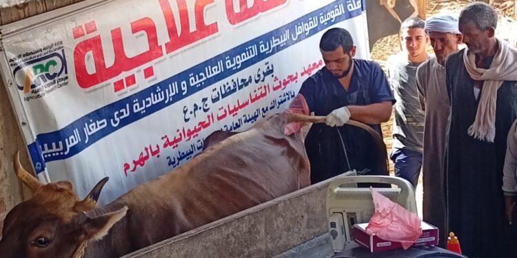 انطلاق فعاليات القافلة البيطرية المجانية لقري حياة كريمة والقري الأكثر احتياجا بمحافظة سوهاج  1 القافلة البيطرية