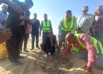 بحوث الصحراء