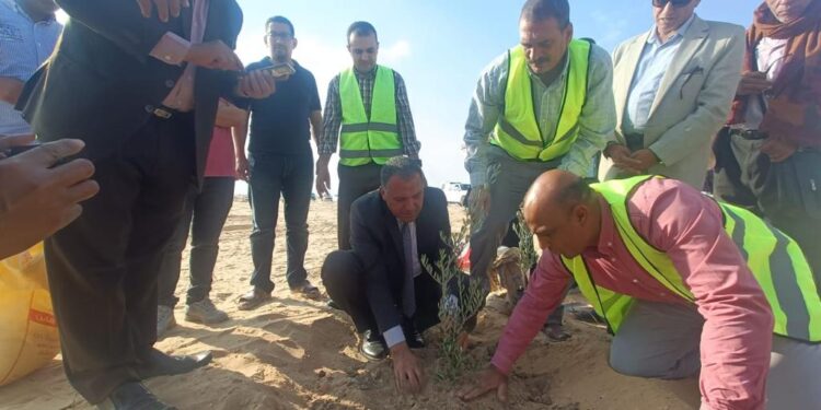 بحوث الصحراء