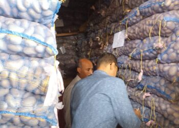 مشروع العفن البني