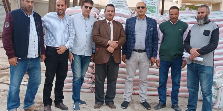 الزراعة تتابع توزيع تقاوي القمح والمحاصيل الشتوية بوادى النطرون والنوبارية 1 تقاوي القمح