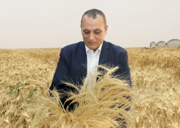 الريف المصري